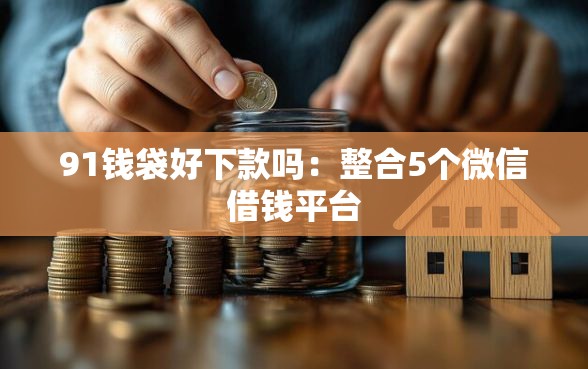 91钱袋好下款吗：整合5个微信借钱平台