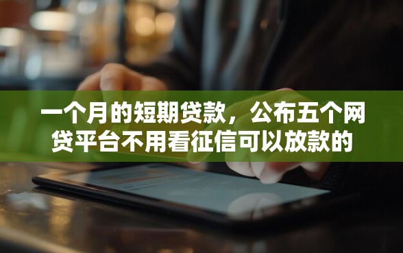 一个月的短期贷款，公布五个网贷平台不用看征信可以放款的
