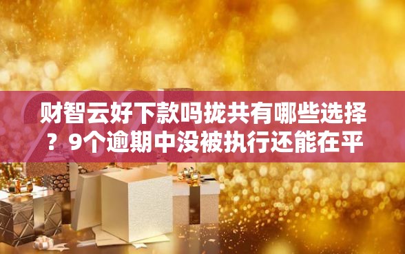 财智云好下款吗拢共有哪些选择？9个逾期中没被执行还能在平台借钱详解