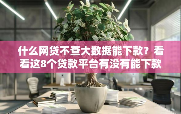 什么网贷不查大数据能下款？看看这8个贷款平台有没有能下款的