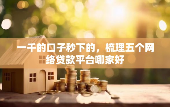 一千的口子秒下的，梳理五个网络贷款平台哪家好