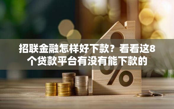 招联金融怎样好下款？看看这8个贷款平台有没有能下款的
