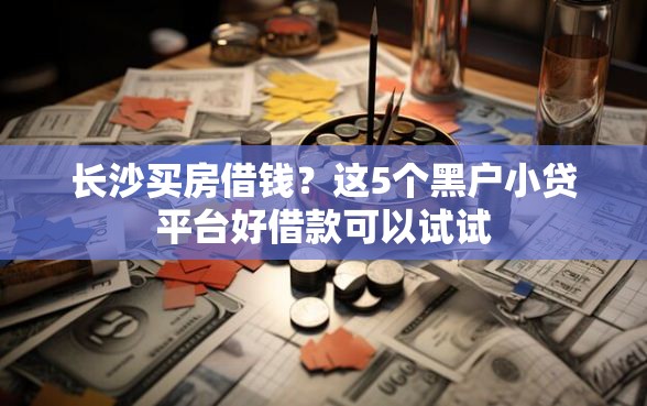 长沙买房借钱？这5个黑户小贷平台好借款可以试试