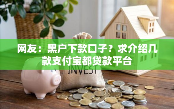 网友：黑户下款口子？求介绍几款支付宝都贷款平台