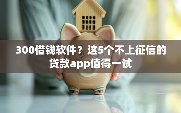 300借钱软件？这5个不上征信的贷款app值得一试
