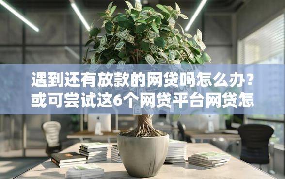 遇到还有放款的网贷吗怎么办？或可尝试这6个网贷平台网贷怎么样