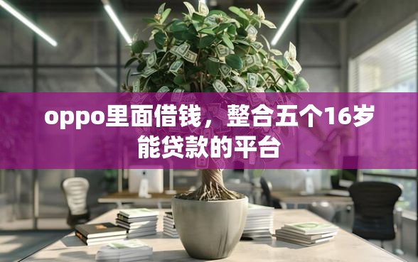 oppo里面借钱，整合五个16岁能贷款的平台