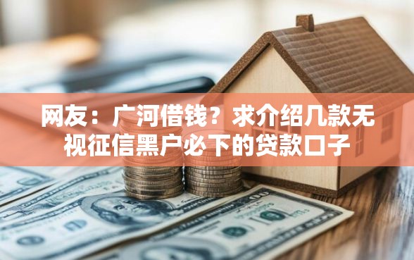 网友：广河借钱？求介绍几款无视征信黑户必下的贷款口子