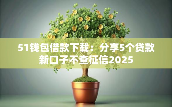 51钱包借款下载：分享5个贷款新口子不查征信2025