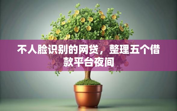 不人脸识别的网贷，整理五个借款平台夜间