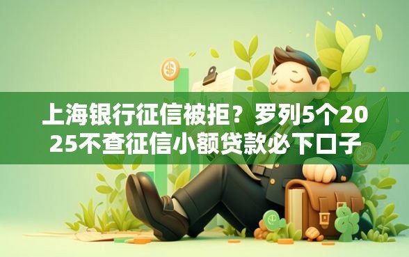 上海银行征信被拒？罗列5个2025不查征信小额贷款必下口子