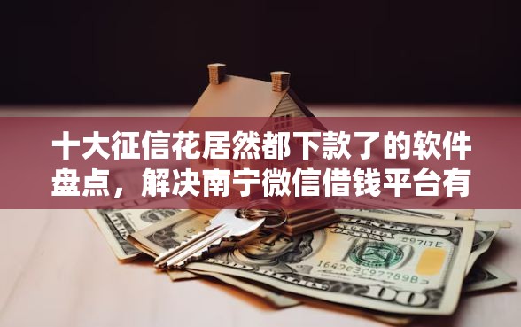 十大征信花居然都下款了的软件盘点，解决南宁微信借钱平台有哪些的问题