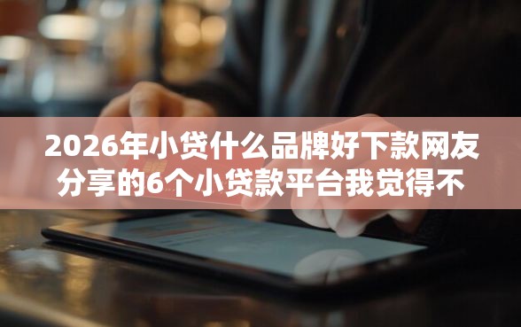 2026年小贷什么品牌好下款网友分享的6个小贷款平台我觉得不错！