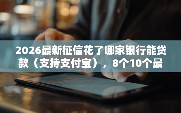 2026最新征信花了哪家银行能贷款（支持支付宝），8个10个最可靠的网贷平台无私分享