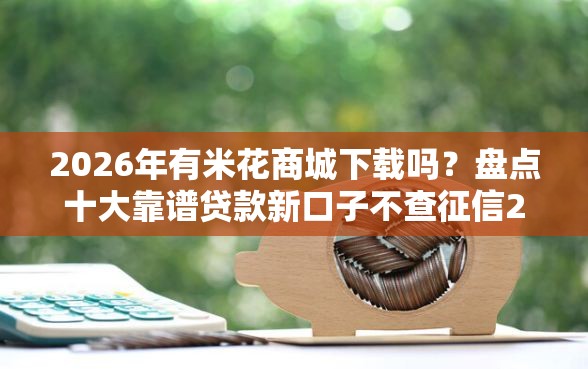 2026年有米花商城下载吗？盘点十大靠谱贷款新口子不查征信2025