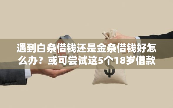遇到白条借钱还是金条借钱好怎么办？或可尝试这5个18岁借款神器快速下款口子