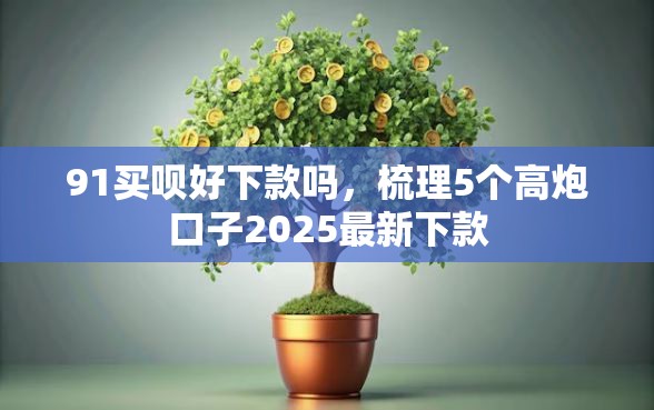 91买呗好下款吗，梳理5个高炮口子2025最新下款