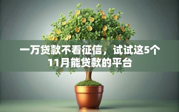 一万贷款不看征信，试试这5个11月能贷款的平台
