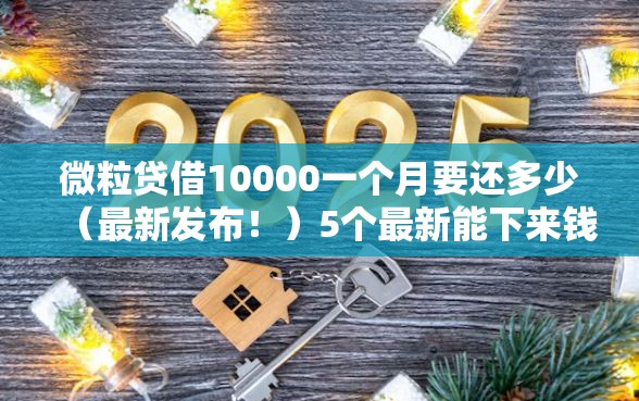 微粒贷借10000一个月要还多少（最新发布！）5个最新能下来钱的软件
