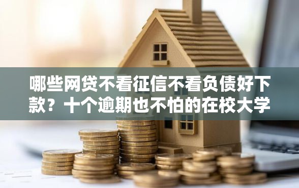 哪些网贷不看征信不看负债好下款？十个逾期也不怕的在校大学生贷款平台