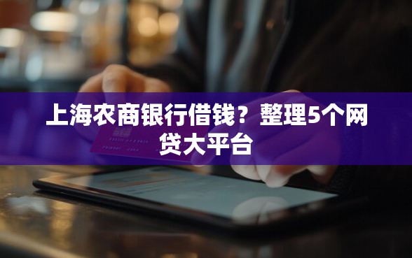 上海农商银行借钱？整理5个网贷大平台