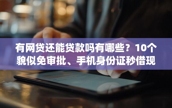 有网贷还能贷款吗有哪些？10个貌似免审批、手机身份证秒借现金的app合集
