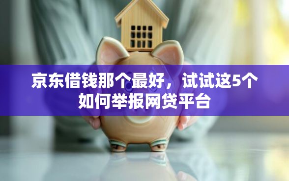 京东借钱那个最好，试试这5个如何举报网贷平台