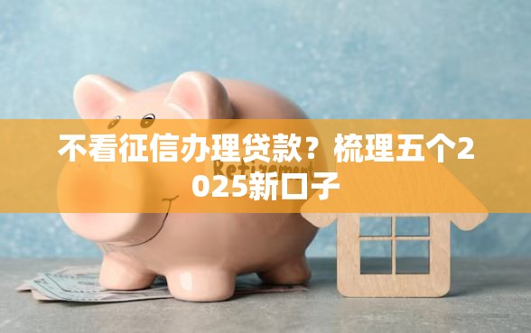 不看征信办理贷款？梳理五个2025新口子