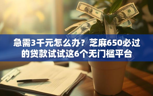 急需3千元怎么办？芝麻650必过的贷款试试这6个无门槛平台
