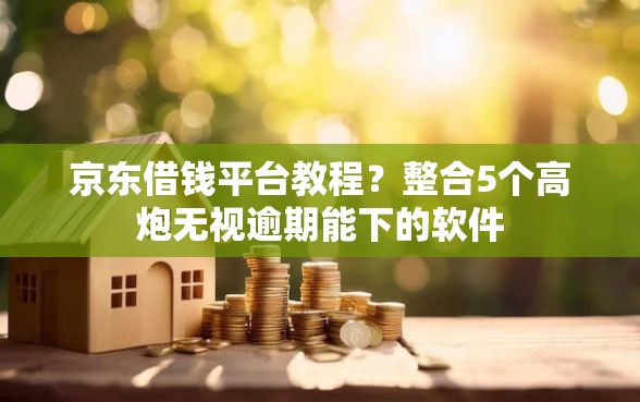 京东借钱平台教程？整合5个高炮无视逾期能下的软件