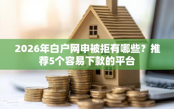 2026年白户网申被拒有哪些？推荐5个容易下款的平台