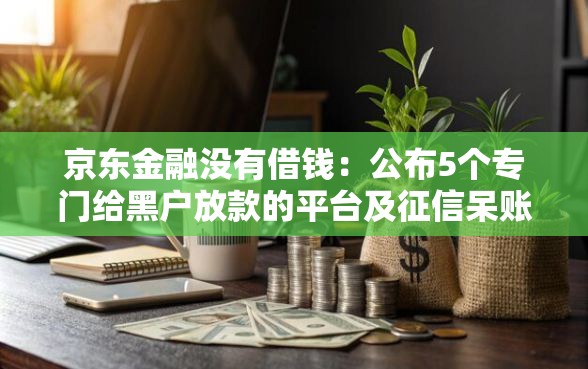 京东金融没有借钱：公布5个专门给黑户放款的平台及征信呆账相关