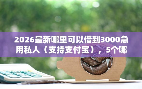 2026最新哪里可以借到3000急用私人（支持支付宝），5个哪些贷款平台不上征信无私分享