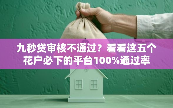 九秒贷审核不通过？看看这五个花户必下的平台100%通过率