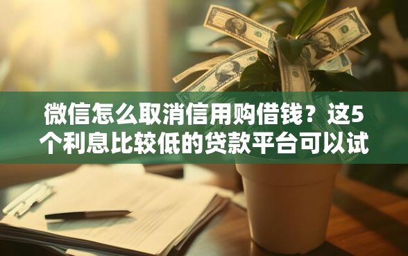 微信怎么取消信用购借钱？这5个利息比较低的贷款平台可以试试
