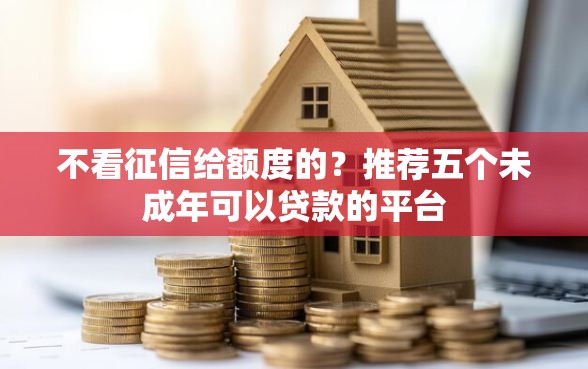 不看征信给额度的？推荐五个未成年可以贷款的平台