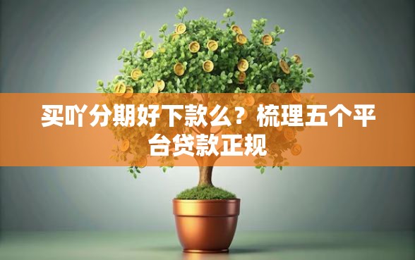 买吖分期好下款么？梳理五个平台贷款正规