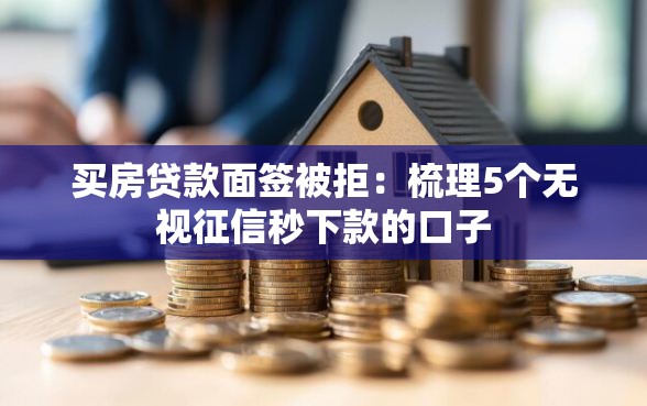 买房贷款面签被拒：梳理5个无视征信秒下款的口子