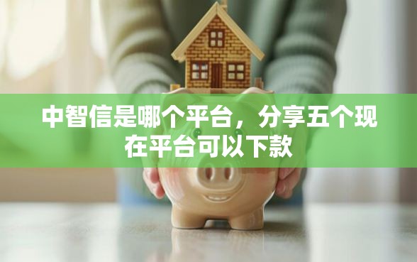 中智信是哪个平台，分享五个现在平台可以下款