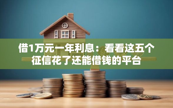 借1万元一年利息：看看这五个征信花了还能借钱的平台