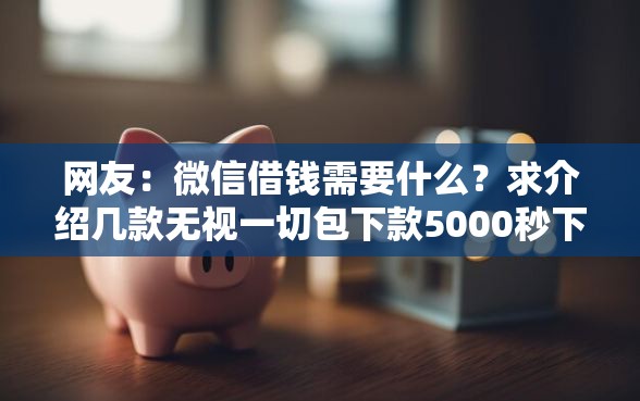 网友：微信借钱需要什么？求介绍几款无视一切包下款5000秒下款的软件