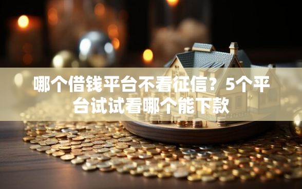 哪个借钱平台不看征信？5个平台试试看哪个能下款