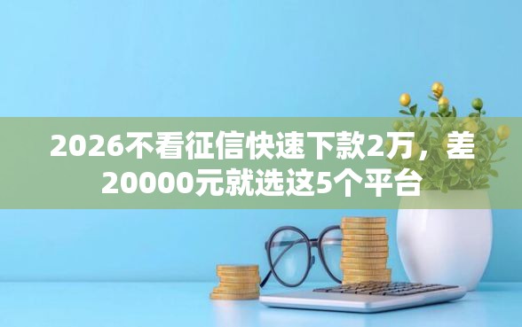 2026不看征信快速下款2万，差20000元就选这5个平台