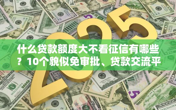 什么贷款额度大不看征信有哪些？10个貌似免审批、贷款交流平台合集
