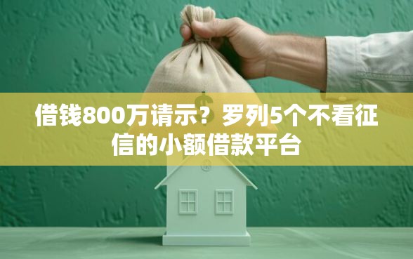 借钱800万请示？罗列5个不看征信的小额借款平台