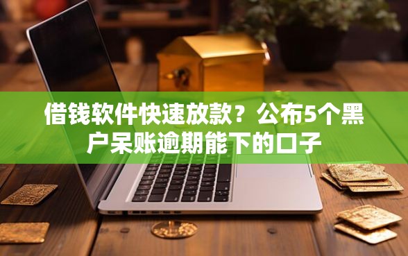 借钱软件快速放款？公布5个黑户呆账逾期能下的口子