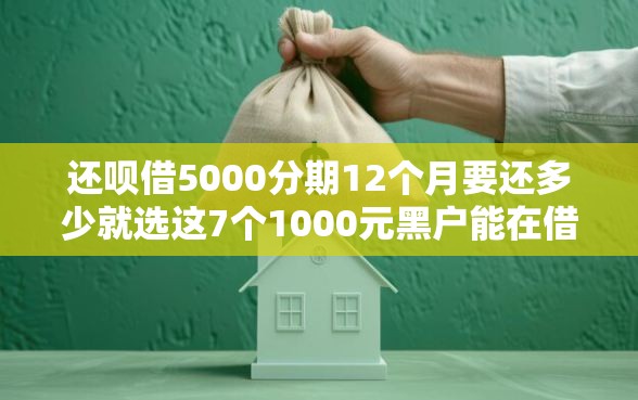 还呗借5000分期12个月要还多少就选这7个1000元黑户能在借款平台借到钱