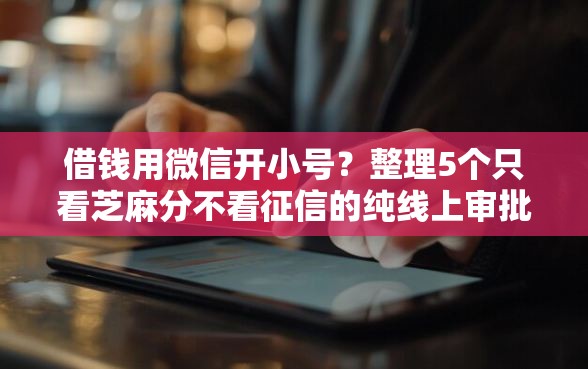 借钱用微信开小号？整理5个只看芝麻分不看征信的纯线上审批平台
