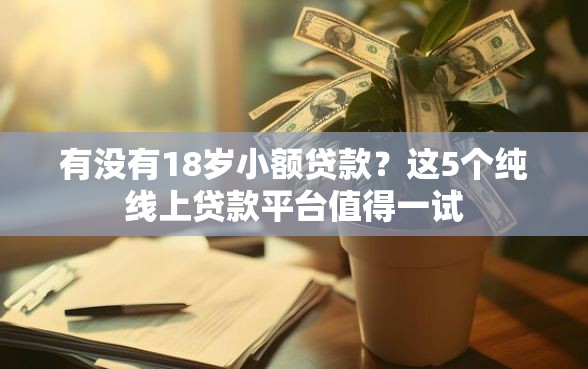 有没有18岁小额贷款？这5个纯线上贷款平台值得一试