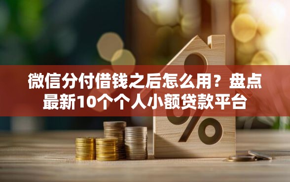 微信分付借钱之后怎么用？盘点最新10个个人小额贷款平台